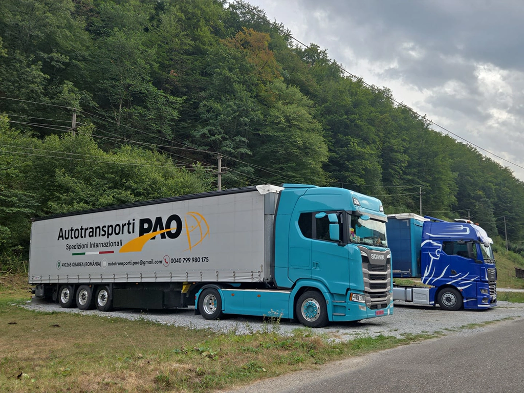 O mica parte din flota de transport marfuri international a companiei noastre